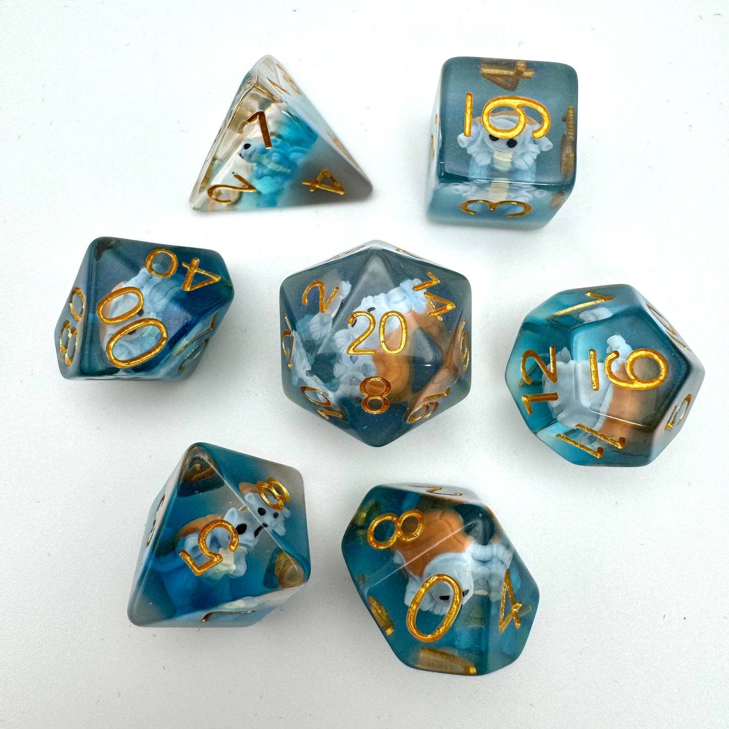 The Very Best Trainer Box