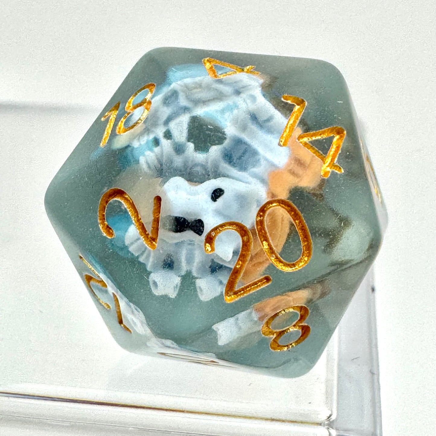 The Very Best Trainer Box